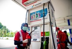 Update Baru Harga BBM Lengkap Shell dan VIVO di SPBU Seluruh Indonesia, Harga Makin Turun?