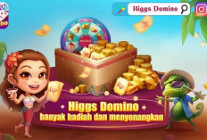 Lebih Untung Ini! Cara Download Higgs Domino MOD, Makin Hujan Chip dan JP