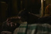 Situs STREAMING Series The Last of Us Episode 8 SUB Indo, Bisa Download di HBO Bukan JuraganFilm CGVINDO